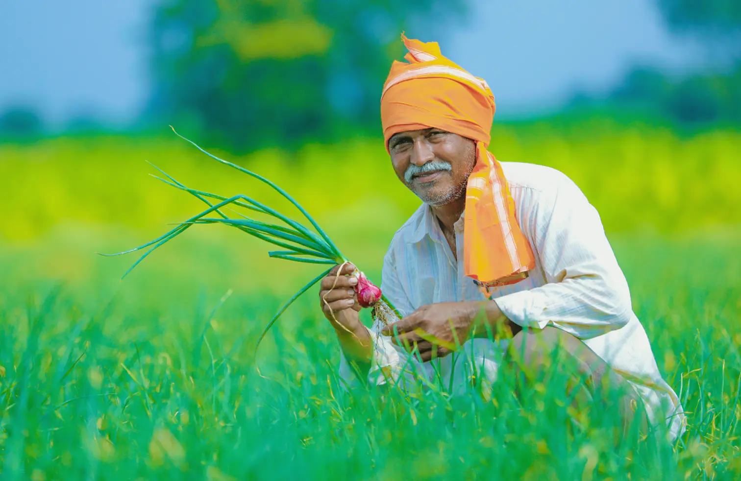 Why Spectrum Agriculture Was Created